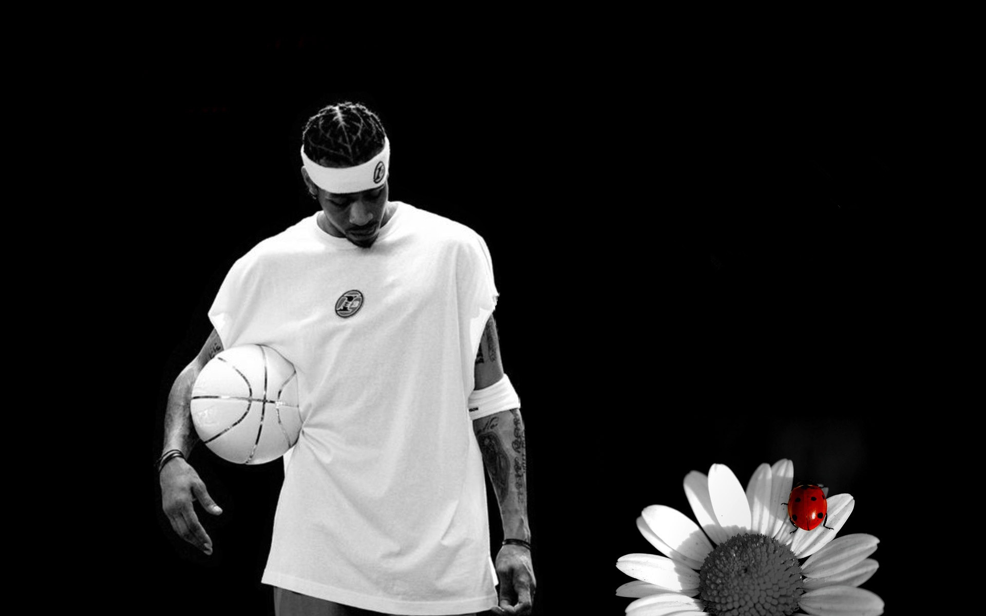 不会离开沙 不会离开沙